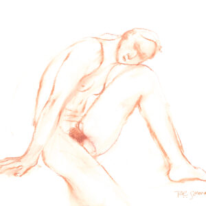 Male Nude 6