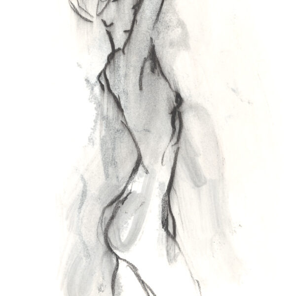 Female Nude 10