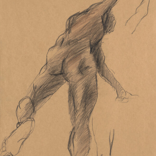 Male Nude 7