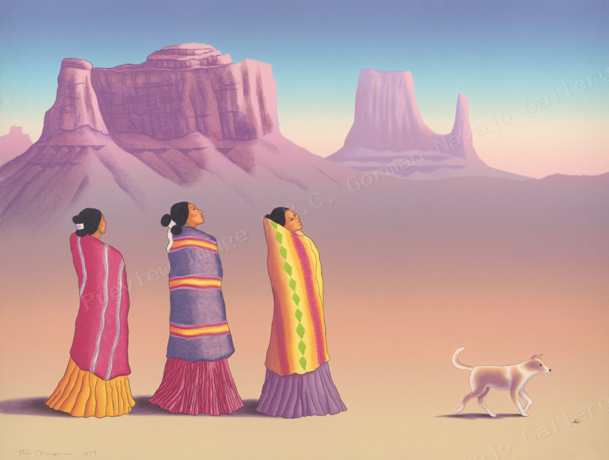 Navajo Return