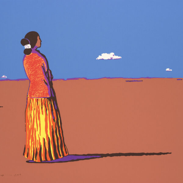 Navajo Summer